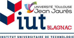 Logo IUT UT2J couleurs